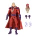 Magneto